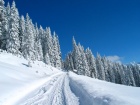 Saas Winter